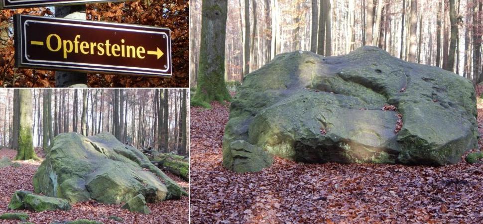 Fewo Charlotte Horn-Bad Meinberg Buitenkant foto