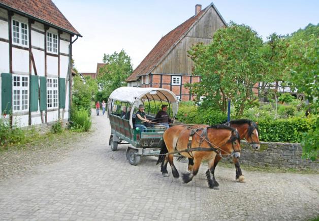 Fewo Charlotte Horn-Bad Meinberg Buitenkant foto