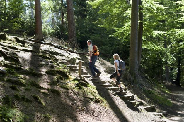 Fewo Charlotte Horn-Bad Meinberg Buitenkant foto