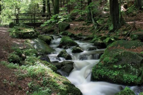 Fewo Charlotte Horn-Bad Meinberg Buitenkant foto